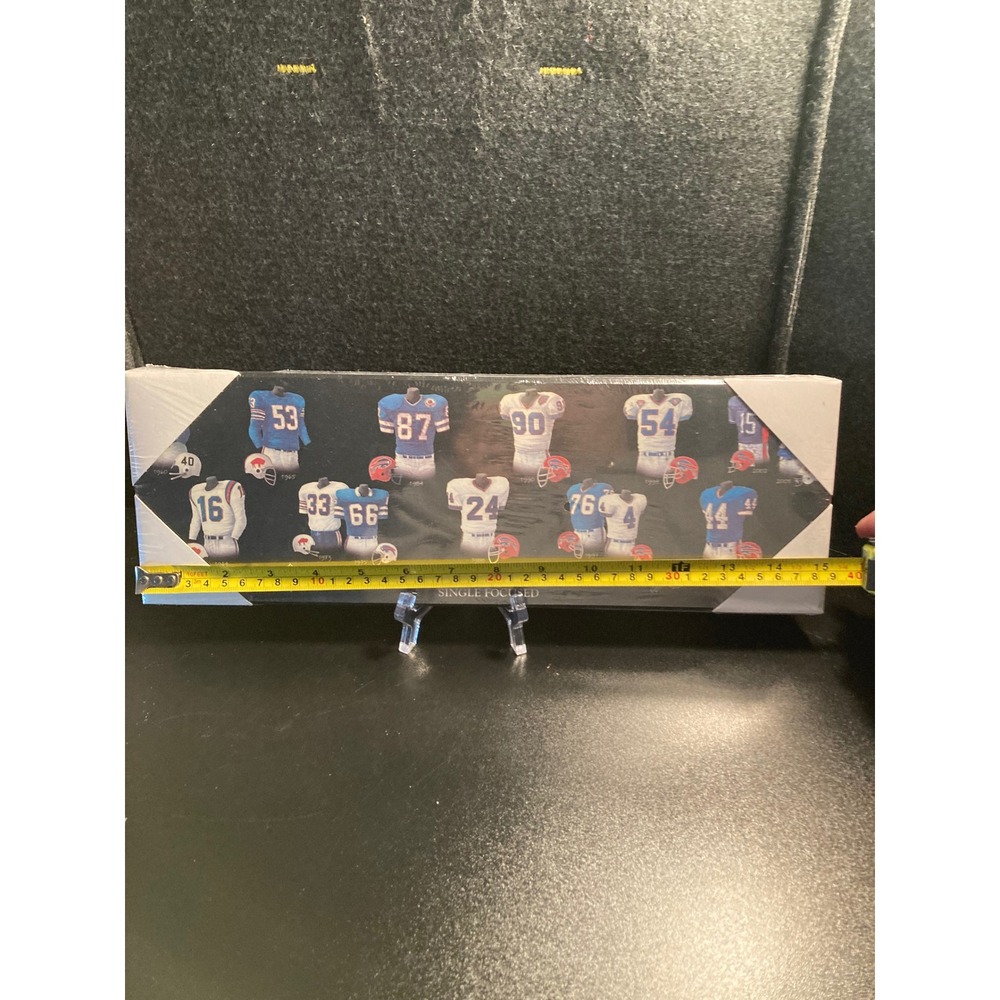 Buffalo Bills NFL Jersey Evolution Wall Plaque 5x15 Single Focused 1960-2005 NEW - Picture 5 of 8